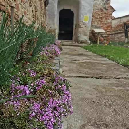 Landhaus Burg Meschen Mosna